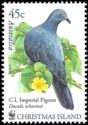 Christmas Island Imperial Pigeon (Ducula whartoni)