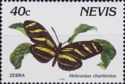 Zebra Longwing Butterfly (Heliconius charithonia)