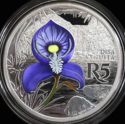 5 Rand (DISA VENUSTA)