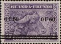 African Buffalo (Syncerus caffer) - surcharged