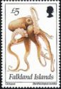 Octopus (Benthoctopus eureka)