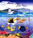 Marine Life of the Tropics
