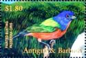 Painted Bunting (Passerina ciris)