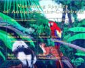 Vanishing Species of Antigua and the Caribbean