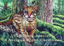 Vanishing Species of Antigua and the Caribbean