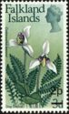 Dog Orchid (Codonorchis lessonii) surcharged