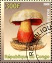 Boletus Satanas