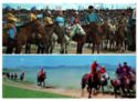 Horse racing when Naadam camp
