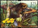 Eurasian Beaver (Castor fiber), Frog, Plants