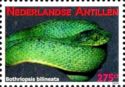 Two-striped Forest-pitviper (Bothriopsis bilineata)