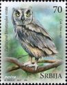Scops owl - Otus scops