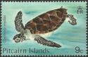 Green Sea Turtle (Chelonia mydas)