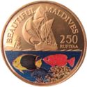 250 Rufiyaa (Beautiful maldives)