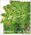 Balaka Palm souvenir sheet