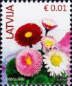 Common Daisy (Bellis perennis)