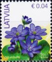 Liverleaf (Hepatica nobilis)