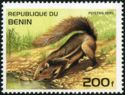 Cape Ground Squirrel (Geosciurus inauris)