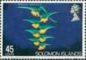 Heliconia salomonica - overprinted