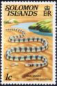 Yellow-lipped Sea Krait (Laticauda colubrina)