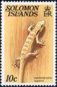 Mourning Gecko (Lepidodactylus lugubris)