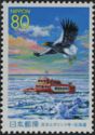 Sea Ice, Garinko-go II, Steller's Sea Eagle (Haliaeetus pela