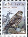 Eurasian Kestrel (Falco tinnunculus)