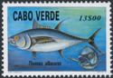 Yellowfin Tuna (Thunnus albacares)