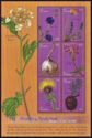 Health and Medicinal Plants