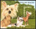 Chinese Crested Dog (Canis lupus familiaris)
