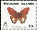 Cruiser Butterfly (Vindula sapor sapor)