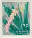Shellflower (Alpinia nutans)