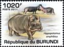 Hippopotamus (Hippopotamus amphibius)