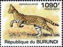 Serval (Leptailurus Serval)