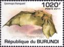 Franquet's Epauletted Fruit Bat (Epomops franqueti)