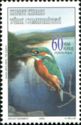 Common Kingfisher (Alcedo atthis atthis)