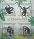 Chimpanzees