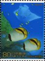 Great Barrier Reef - Lined Butterflyfish (Chaetodon lineolat
