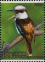 Kookaburra (Dacelo novaeguineae)