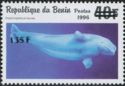 Beluga (Delphinapterus leucas)