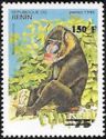 Mandrill (Mandrillus sphinx)