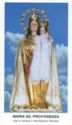 "Saint Mary - Providence", Montalbano Elicona, Omnia Sacra - Messina (IT), Sicily - Madonna