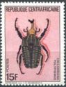 Giant African Fruit Beetle (Chelorrhina polyphemus)