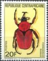 Flower Beetle (Fornasinius russus)