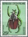 Goliath Beetle (Goliathus giganteus)