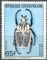 Goliath Beetle (Goliathus meleagris)