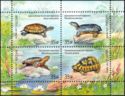 Fauna of Russia - Turtles