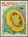 Girasol (Helianthus annus)