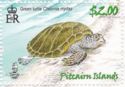 Green Turtle (Chelonia mydas) on beach
