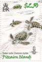 Green Turtle (Chelonia mydas) hatchlings