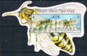 Pitcairn Islands Paper Wasp